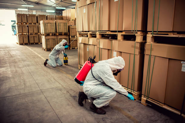 Flea Control Services in Lake Hopatcong, NJ