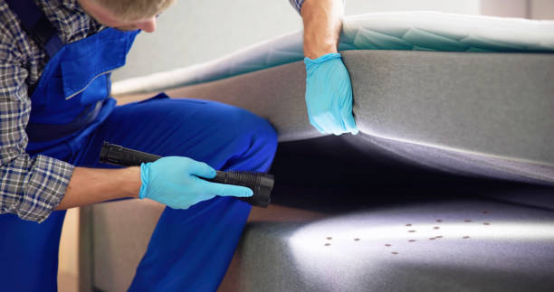 Best Pest Control for Businesses  in Lake Hopatcong, NJ